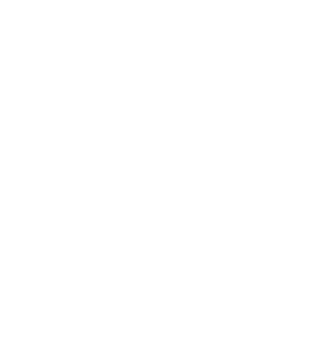 ICERNS LOGO BLANC